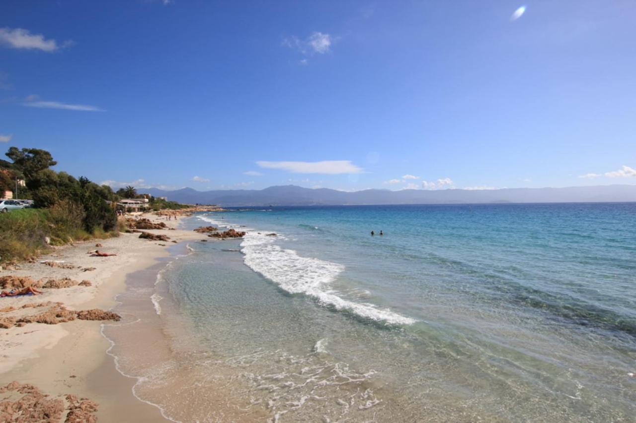 Nice And Bright 60 M With Terrace View On The Sea Аяччо Экстерьер фото